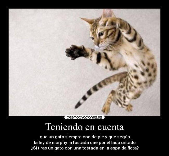 Teniendo en cuenta -