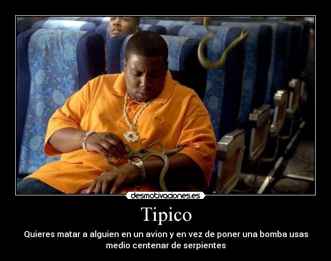 Tipico - 