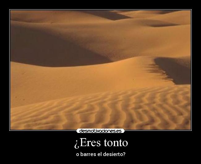 ¿Eres tonto - 