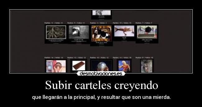 Subir carteles creyendo -