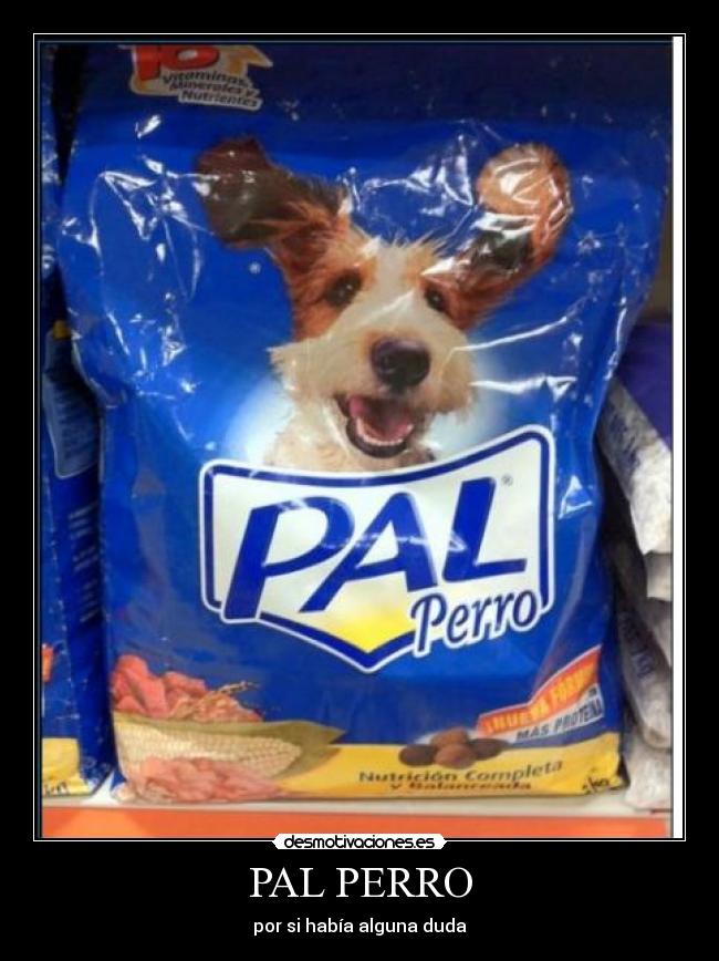 PAL PERRO - por si había alguna duda