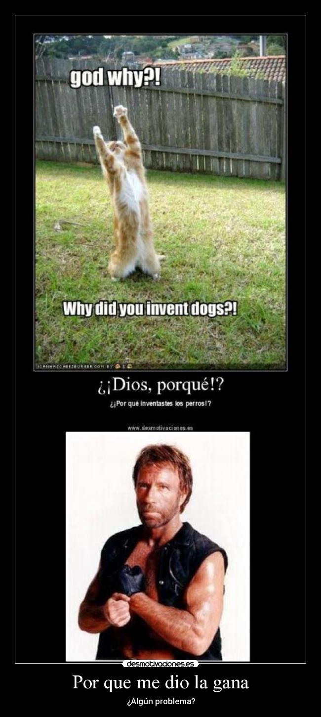 Por que me dio la gana -