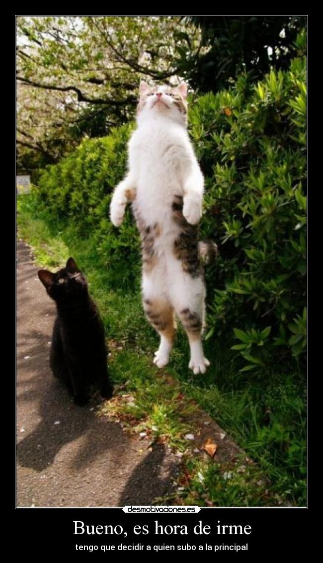 Bueno, es hora de irme - 