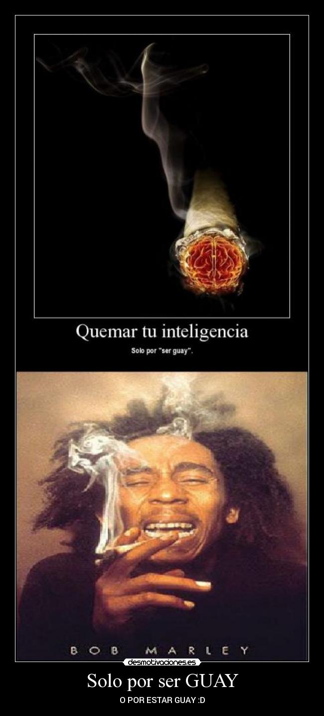 Solo por ser GUAY -