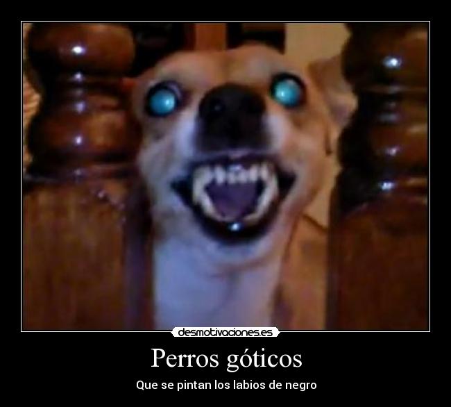 Perros góticos - Que se pintan los labios de negro