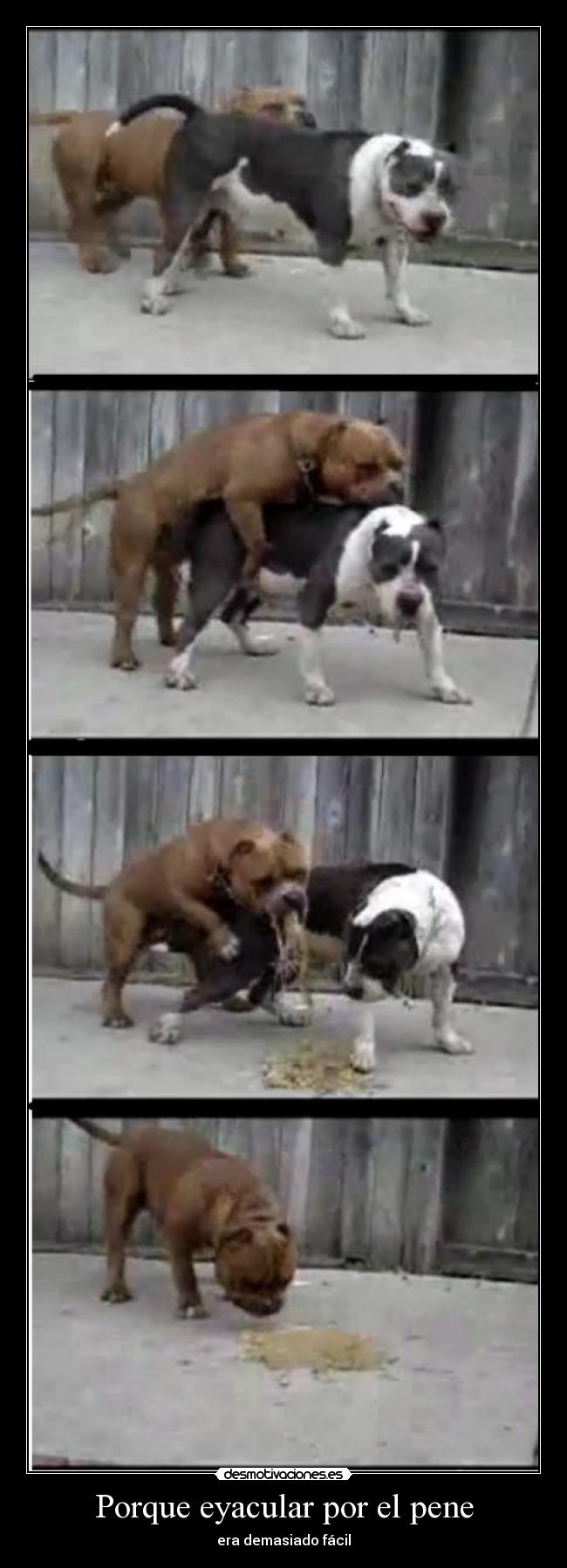 Porque eyacular por el pene -