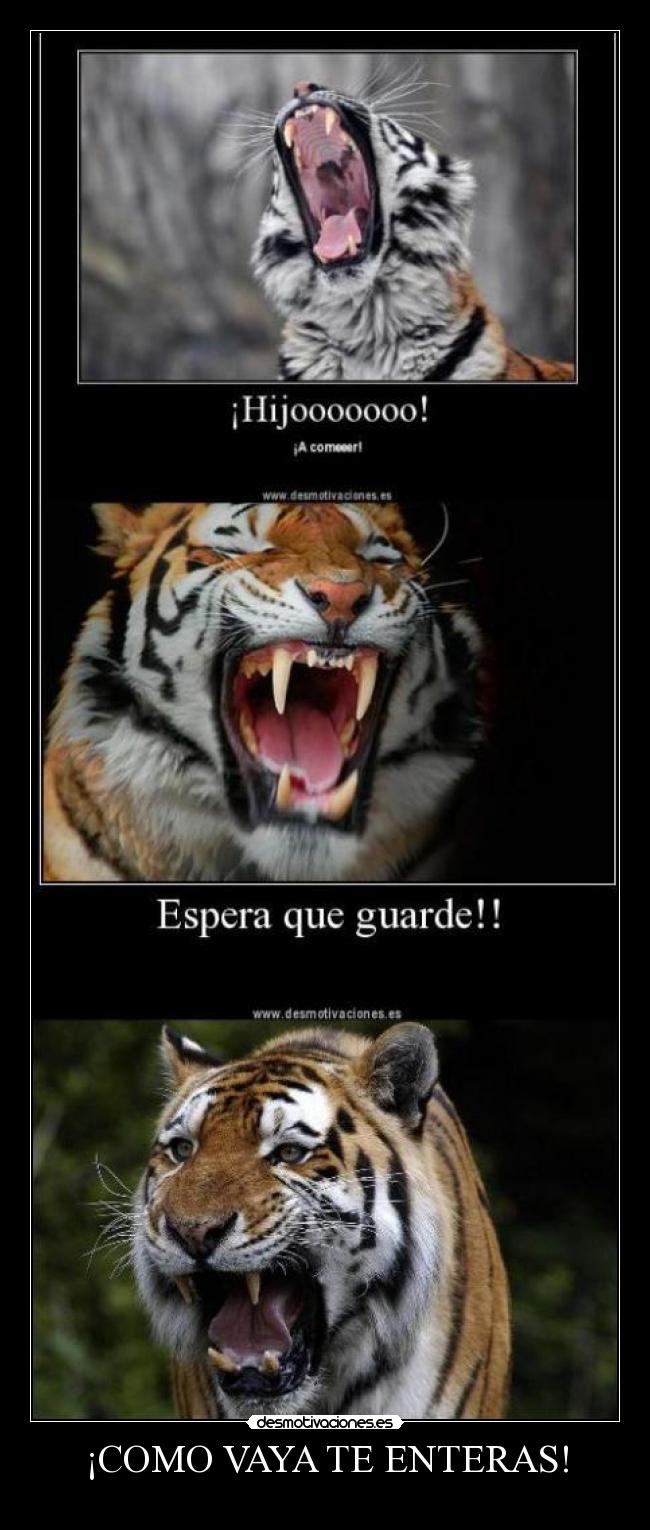 ¡COMO VAYA TE ENTERAS! - 