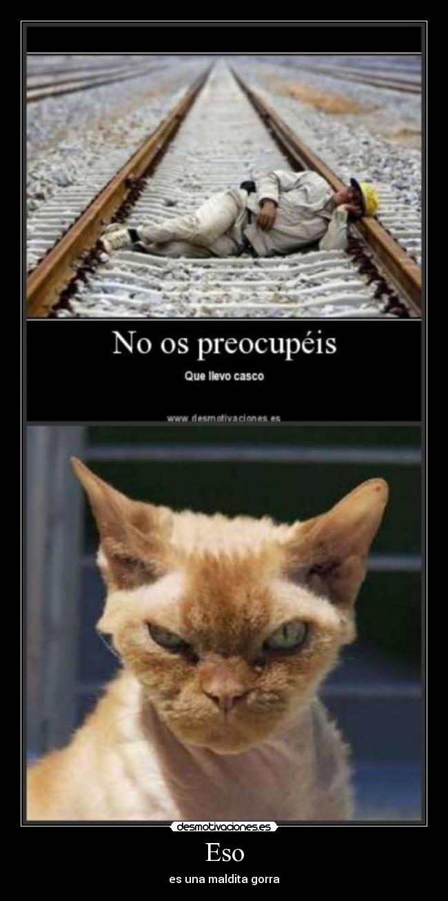 Eso - es una maldita gorra