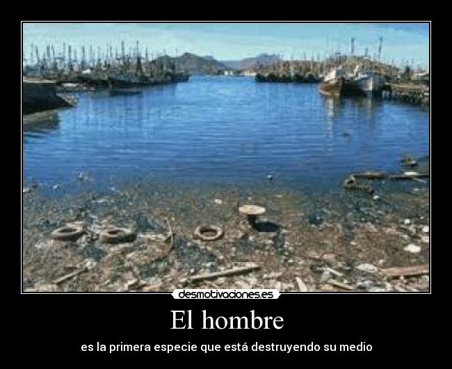 El hombre - es la primera especie que está destruyendo su medio