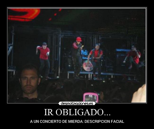 IR OBLIGADO... - A UN CONCIERTO DE MIERDA: DESCRIPCION FACIAL