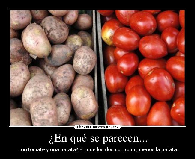 ¿En qué se parecen... -