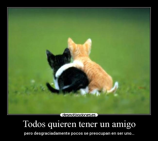 carteles amistad desmotivaciones