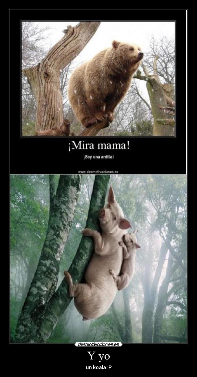 Y yo - un koala :P