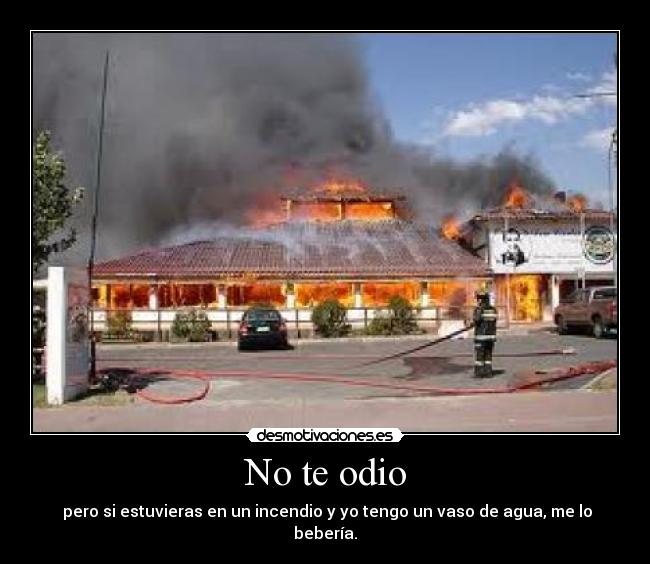 No te odio - pero si estuvieras en un incendio y yo tengo un vaso de agua, me lo bebería.