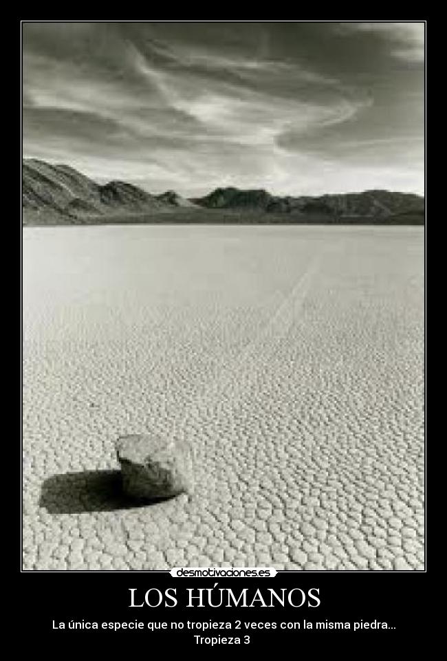 LOS HÚMANOS -