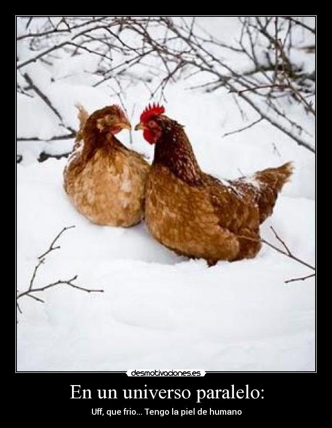 carteles frankierap20 desmotivaciones