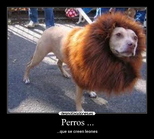 Perros ... -
