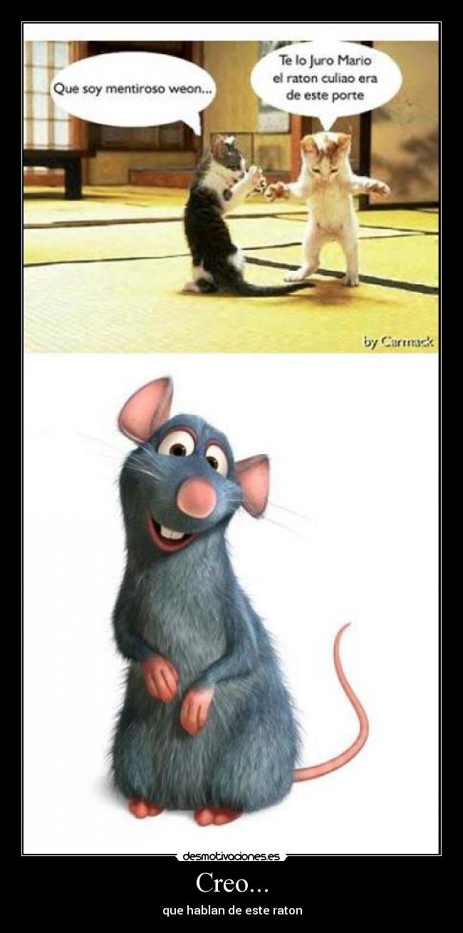 carteles ratatouille gatos humor desmotivaciones