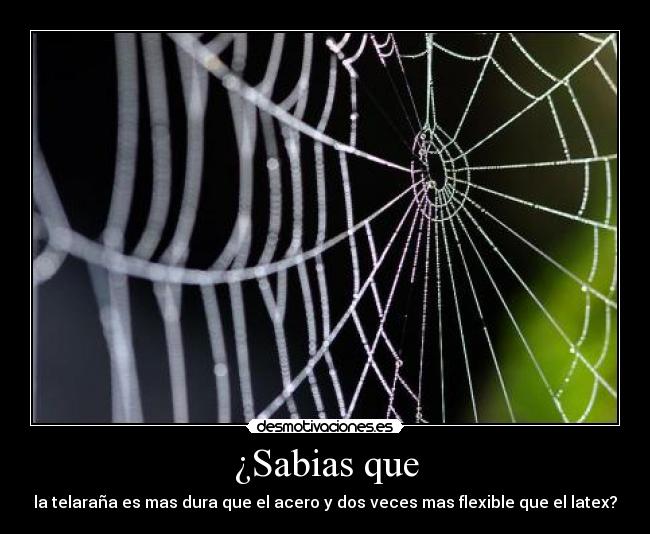 ¿Sabias que -