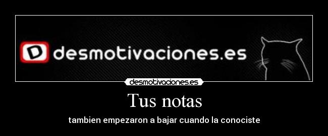Tus notas - tambien empezaron a bajar cuando la conociste