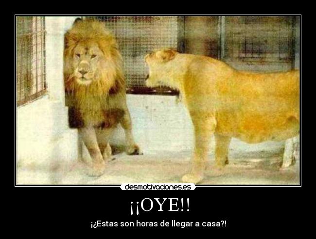 ¡¡OYE!! - ¡¿Estas son horas de llegar a casa?!