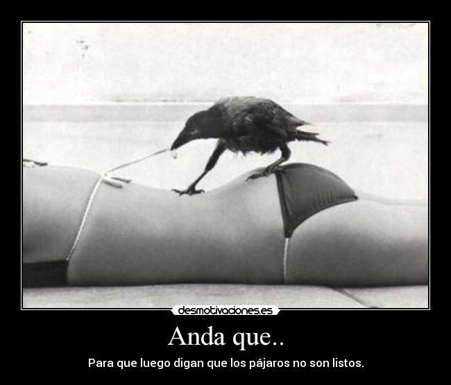 Anda que.. - 