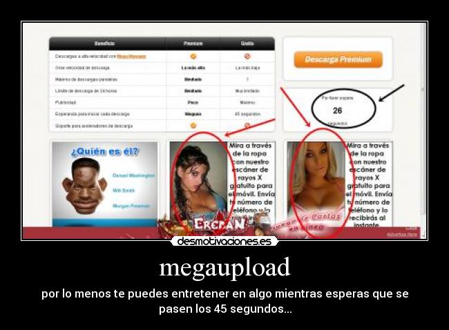 megaupload -