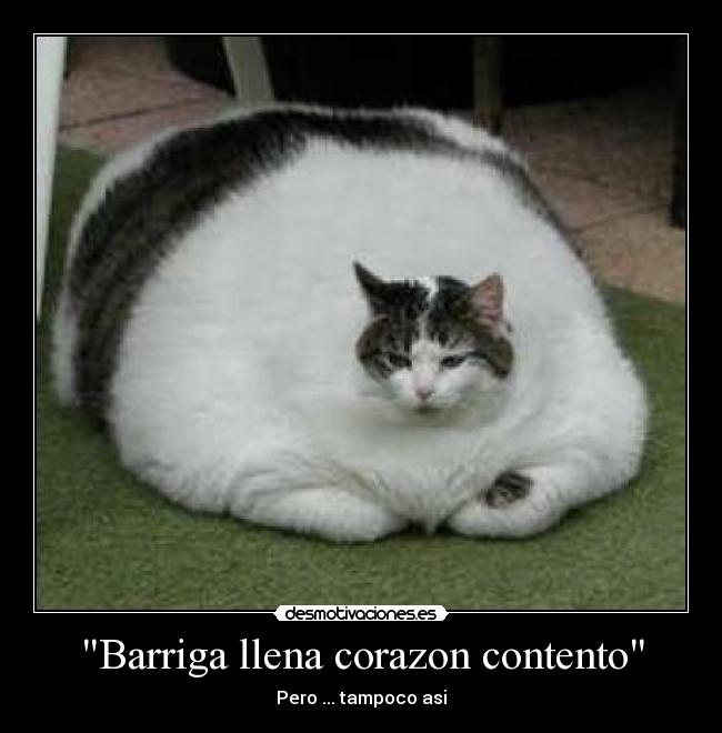 Barriga llena corazon contento -