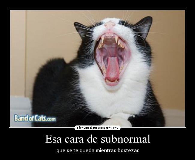 Esa cara de subnormal - que se te queda mientras bostezas