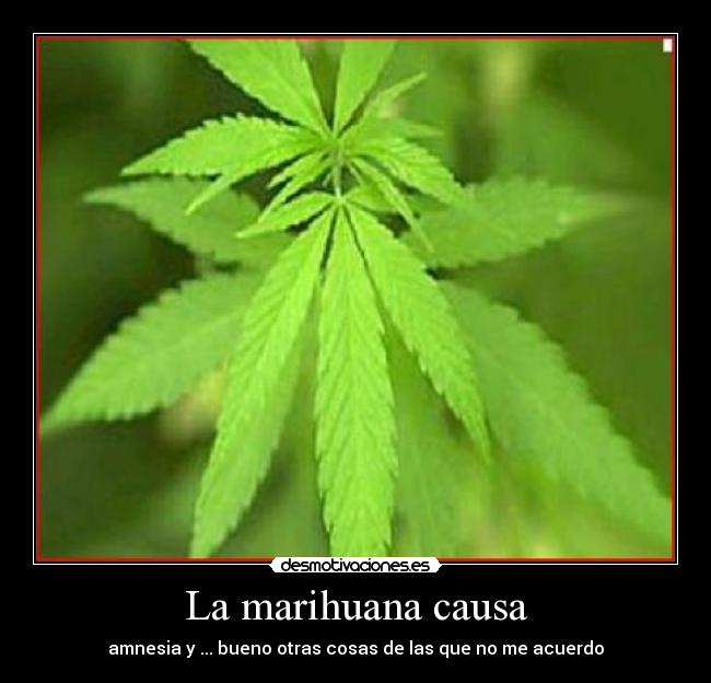 La marihuana causa -