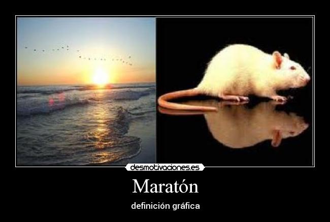 Maratón -