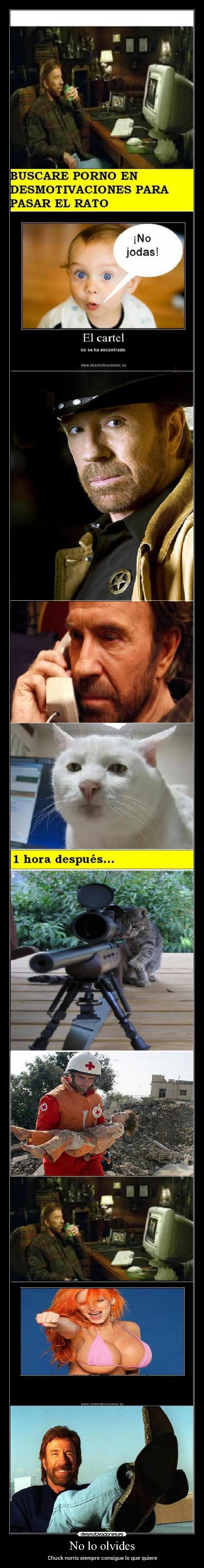 No lo olvides - Chuck norris siempre consigue lo que quiere