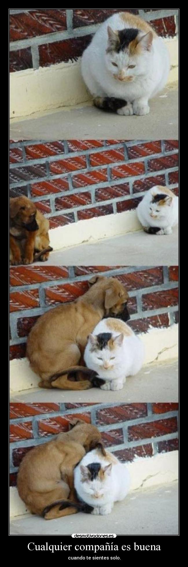 Cualquier compañía es buena - 