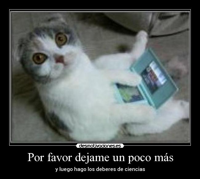 Por favor dejame un poco más - y luego hago los deberes de ciencias