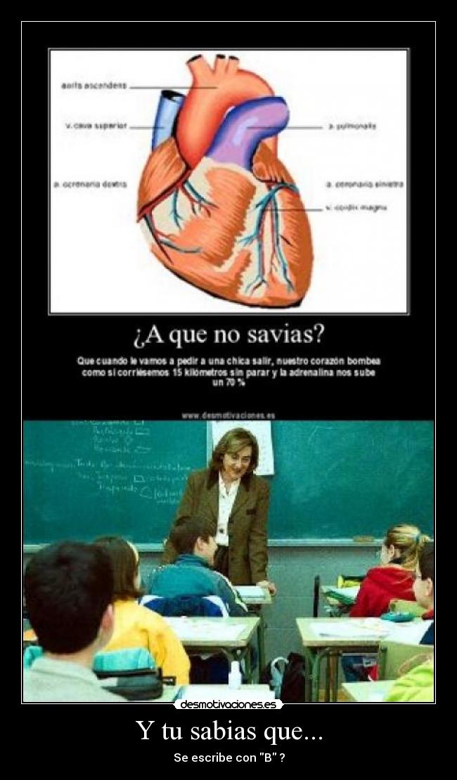 Y tu sabias que... - 