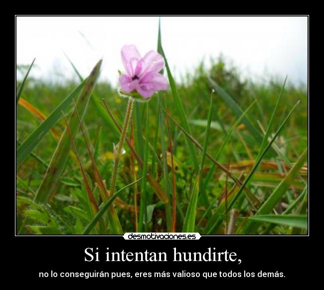 Si intentan hundirte, - 