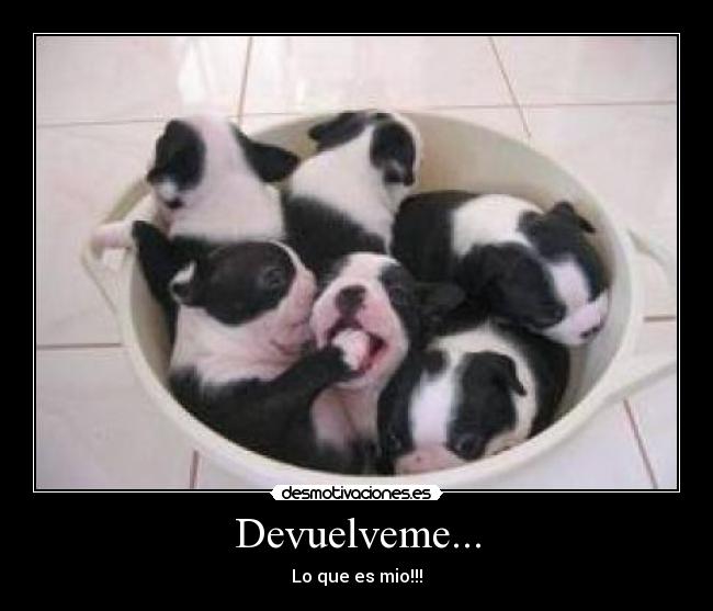 Devuelveme... - Lo que es mio!!!