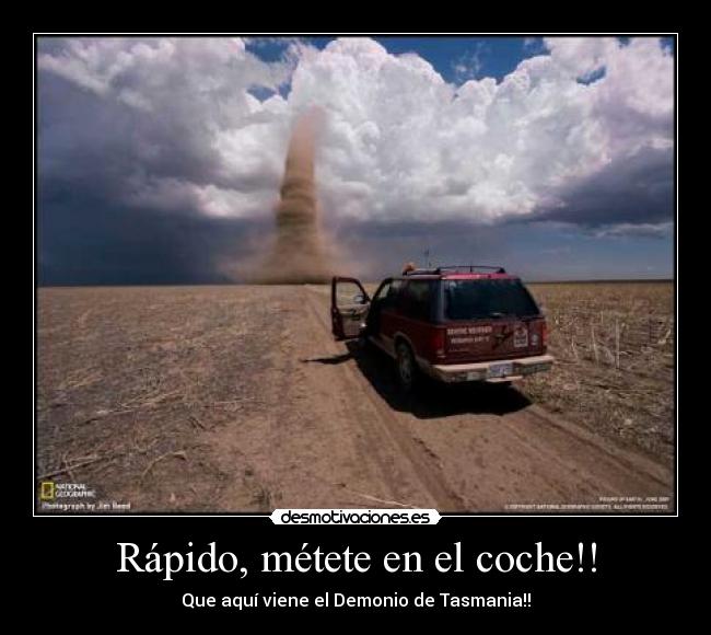 carteles demonio tasmania desmotivaciones