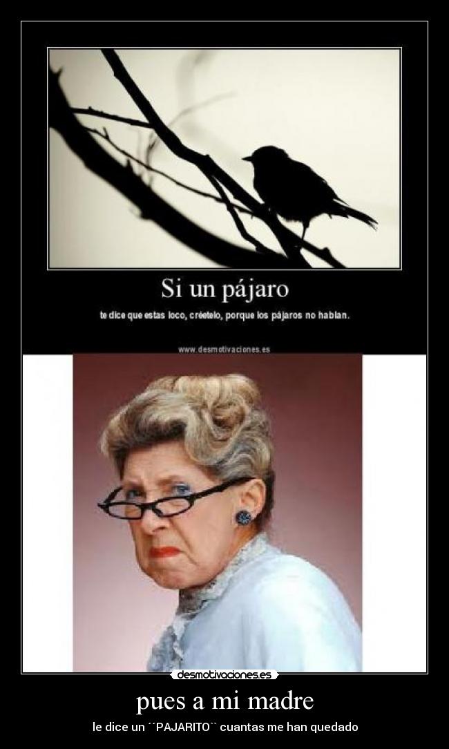 pues a mi madre - le dice un ´´PAJARITO`` cuantas me han quedado