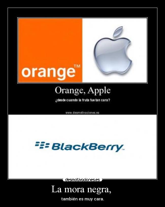 La mora negra, - también es muy cara.