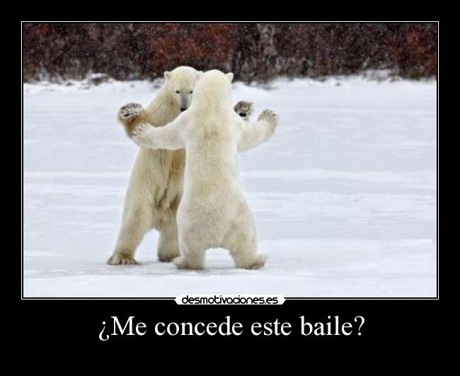 ¿Me concede este baile? - 