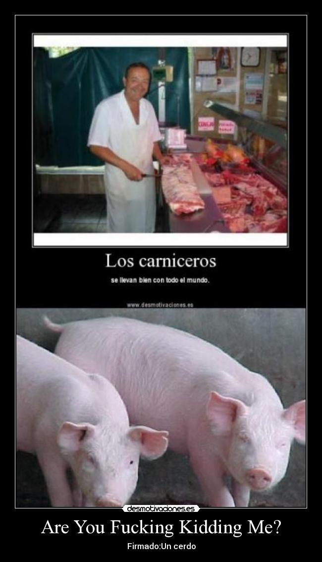 Are You Fucking Kidding Me? -