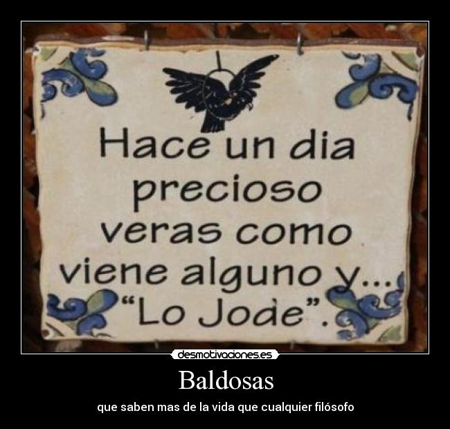 carteles baldosas frase bonito dia joder idiota saber vida sol desmotivaciones