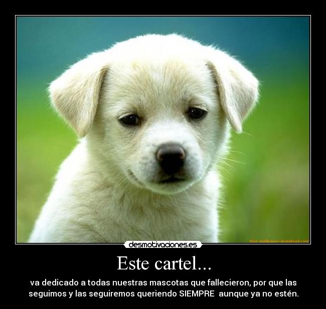 Este cartel... - 