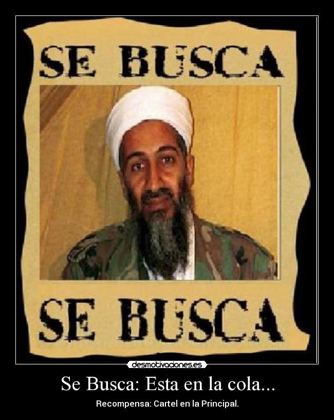 Se Busca: Esta en la cola... -
