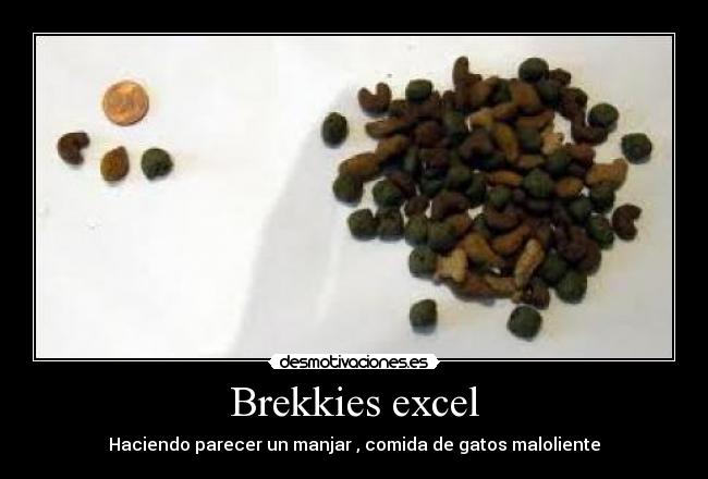 carteles brekkis desmotivaciones