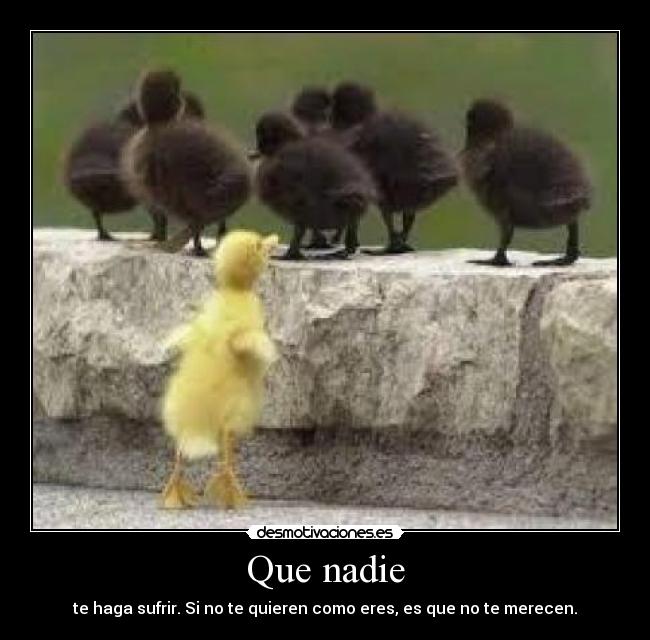 Que nadie - te haga sufrir. Si no te quieren como eres, es que no te merecen.