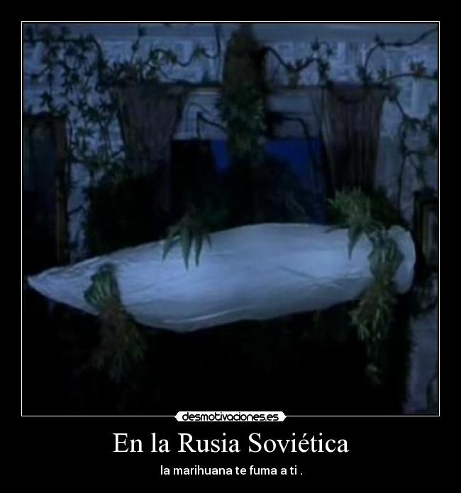 En la Rusia Soviética - la marihuana te fuma a ti .