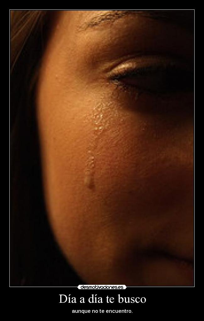 Día a día te busco - aunque no te encuentro.