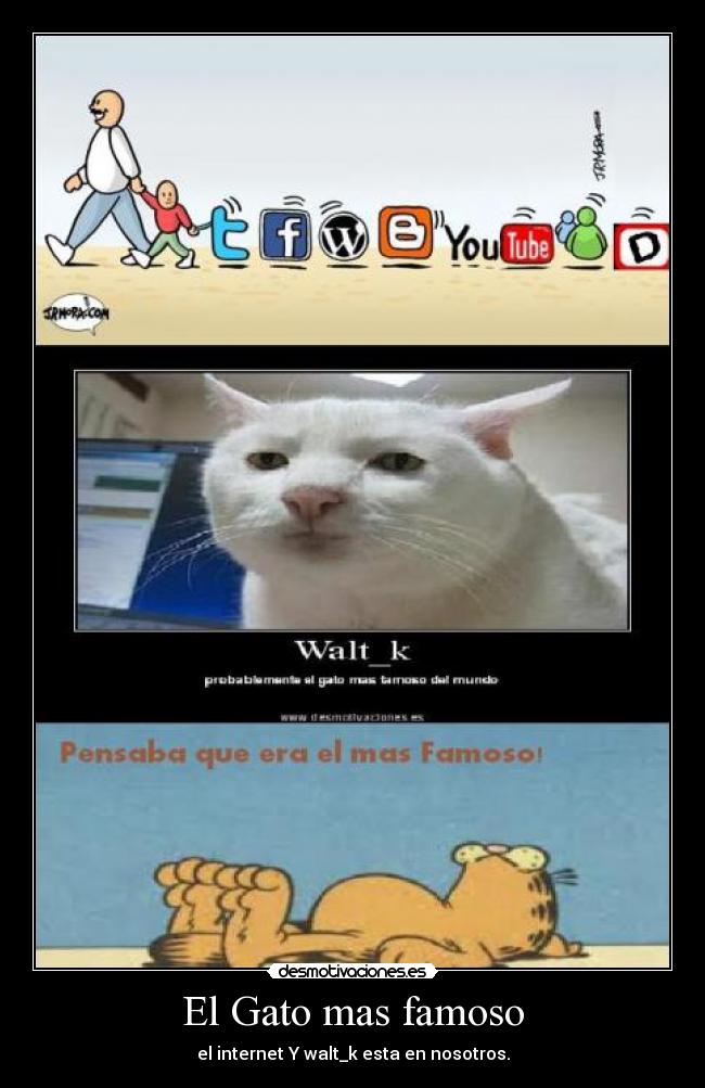 El Gato mas famoso - 